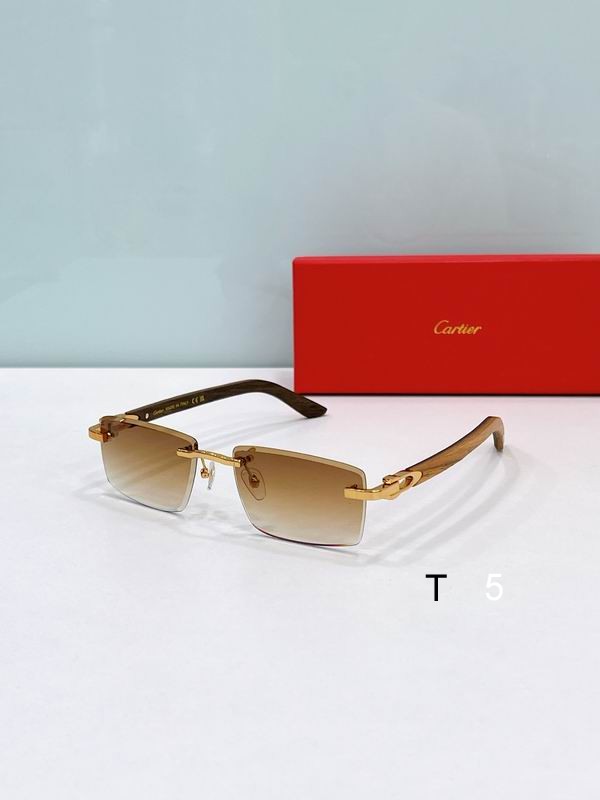 Cartier CT0582S 56 18-145 F04