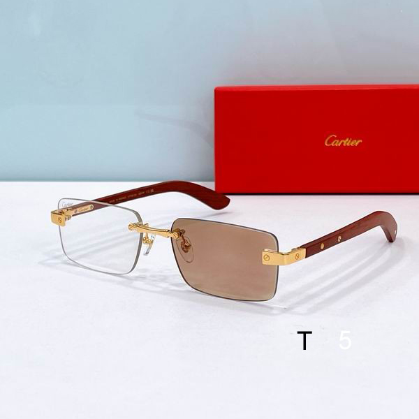 Cartier CT0582S 56 19-145 F1