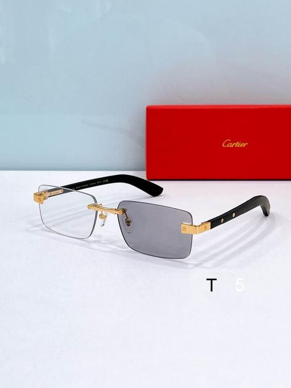 Cartier CT0582S 56 19-145 F2