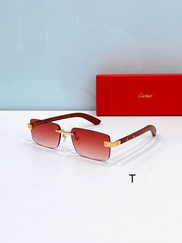Cartier CT0582S 56 19-145 F3
