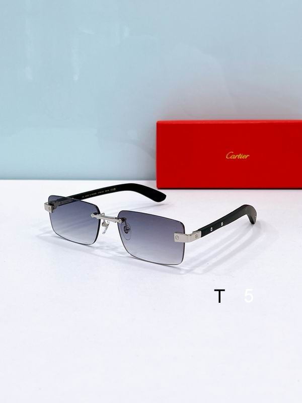 Cartier CT0582S 56 19-145 F4