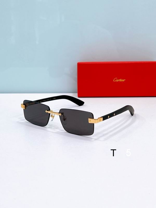 Cartier CT0582S 56 19-145 F5