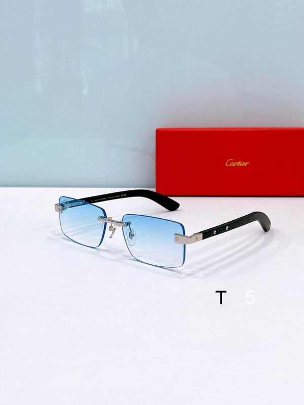 Cartier CT0582S 56 19-145 F6
