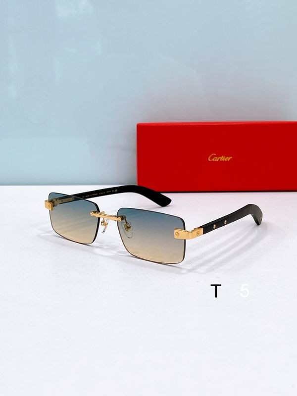 Cartier CT0582S 56 19-145 F7