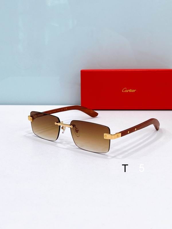 Cartier CT0582S 56 19-145 F8
