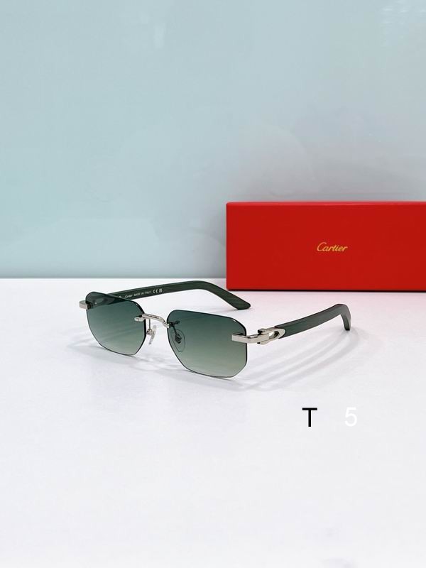 Cartier CT0622S 56 19-145 F01