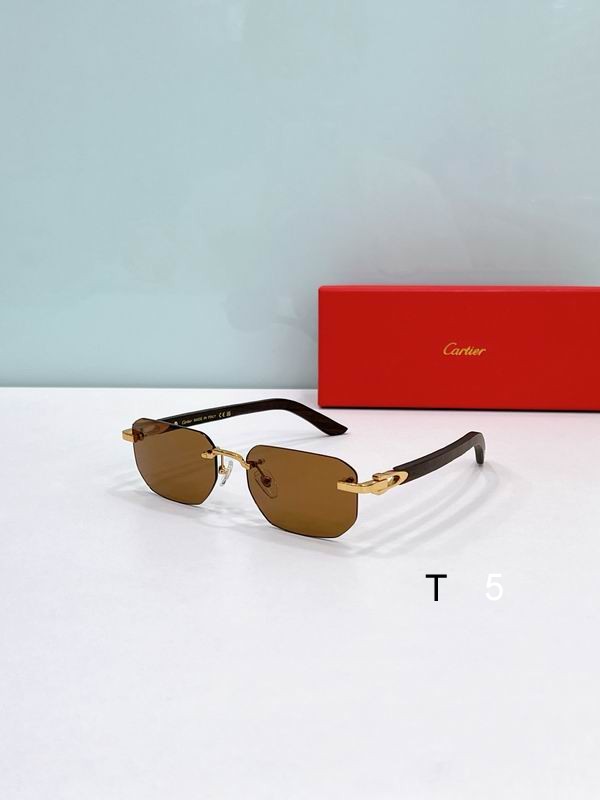 Cartier CT0622S 56 19-145 F02