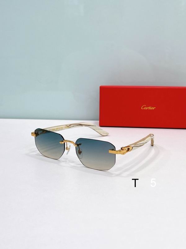 Cartier CT0622S 56 19-145 F04