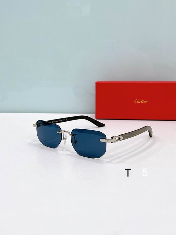 Cartier CT0622S 56 19-145 F05