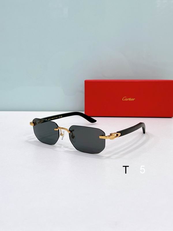 Cartier CT0622S 56 19-145 F06