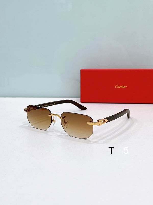 Cartier CT0622S 56 19-145 F07