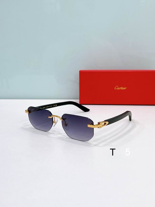 Cartier CT0622S 56 19-145 F08