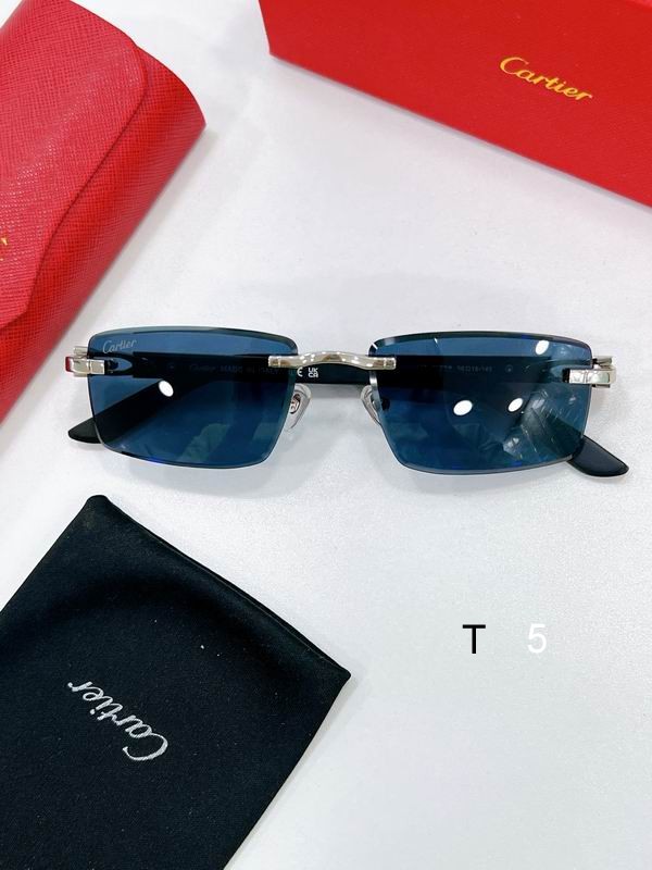 Cartier MODEL CT0582S 56 18-145 F01