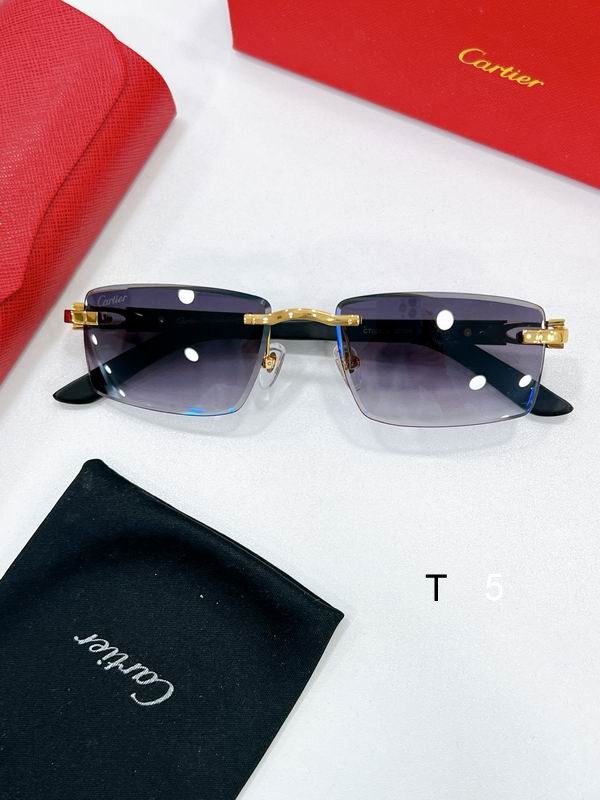 Cartier MODEL CT0582S 56 18-145 F03