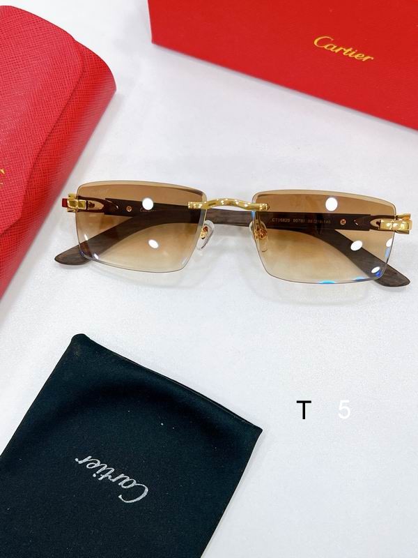 Cartier MODEL CT0582S 56 18-145 F04
