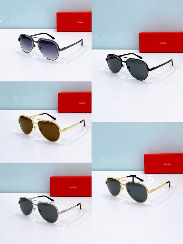 Cartier T0034S 61 17-135 F08