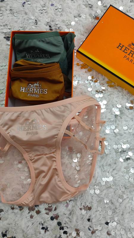 Hermes boxer M-XL 05 (1)