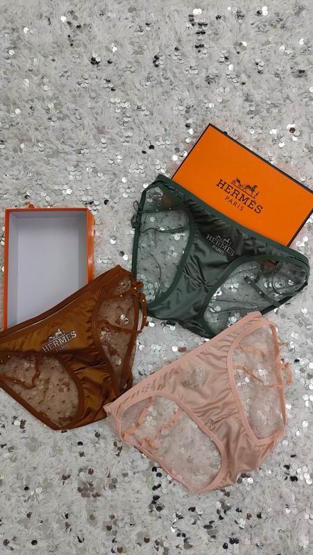 Hermes boxer M-XL 05 (2)