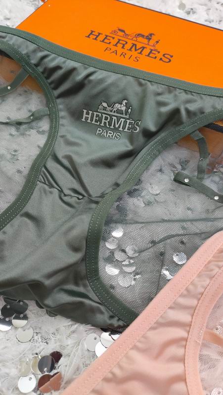 Hermes boxer M-XL 05 (3)