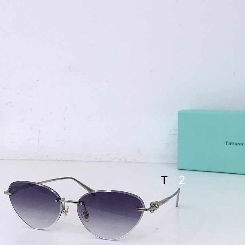 TIFFANY Co TF3104K 61 17-140 b01