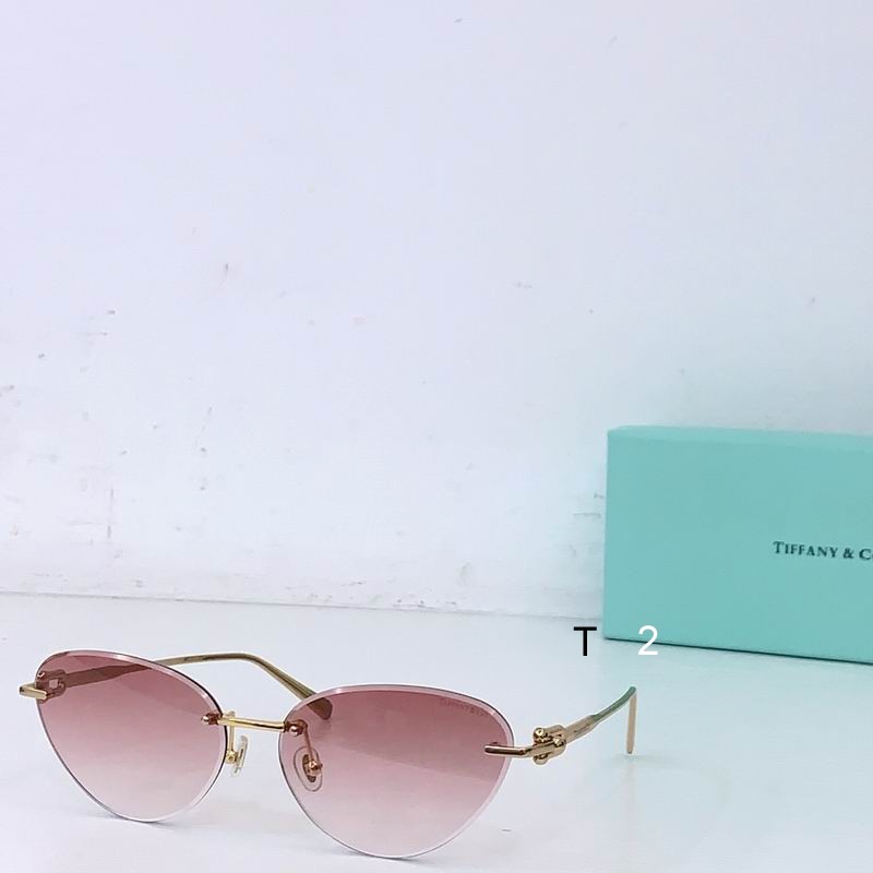 TIFFANY Co TF3104K 61 17-140 b06
