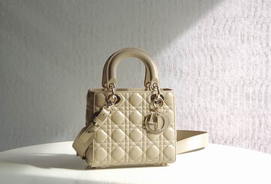 Dior Lady 8878 20x16.5x8cm wo