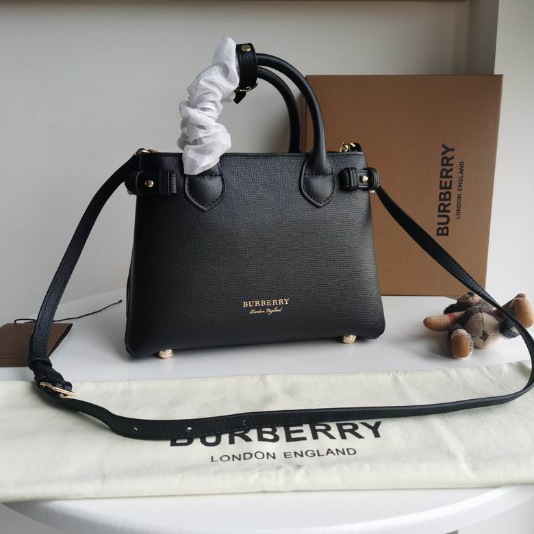 Burberry 26x12x19cm HQ 3