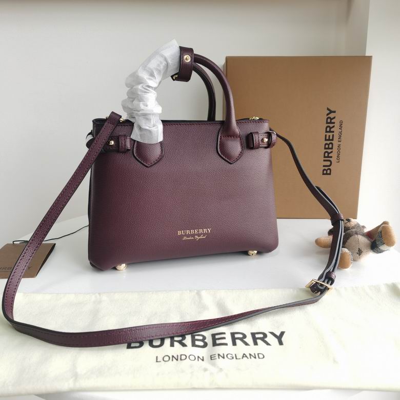 Burberry 26x12x19cm HQ 4