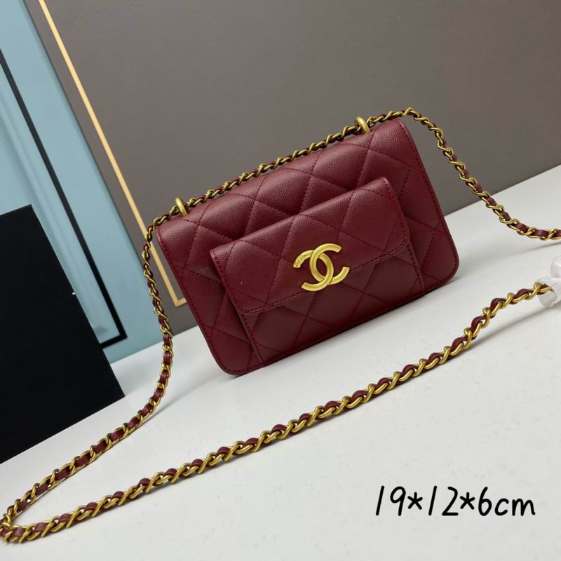 Chanel woc2830 19x12x6cm ww4色