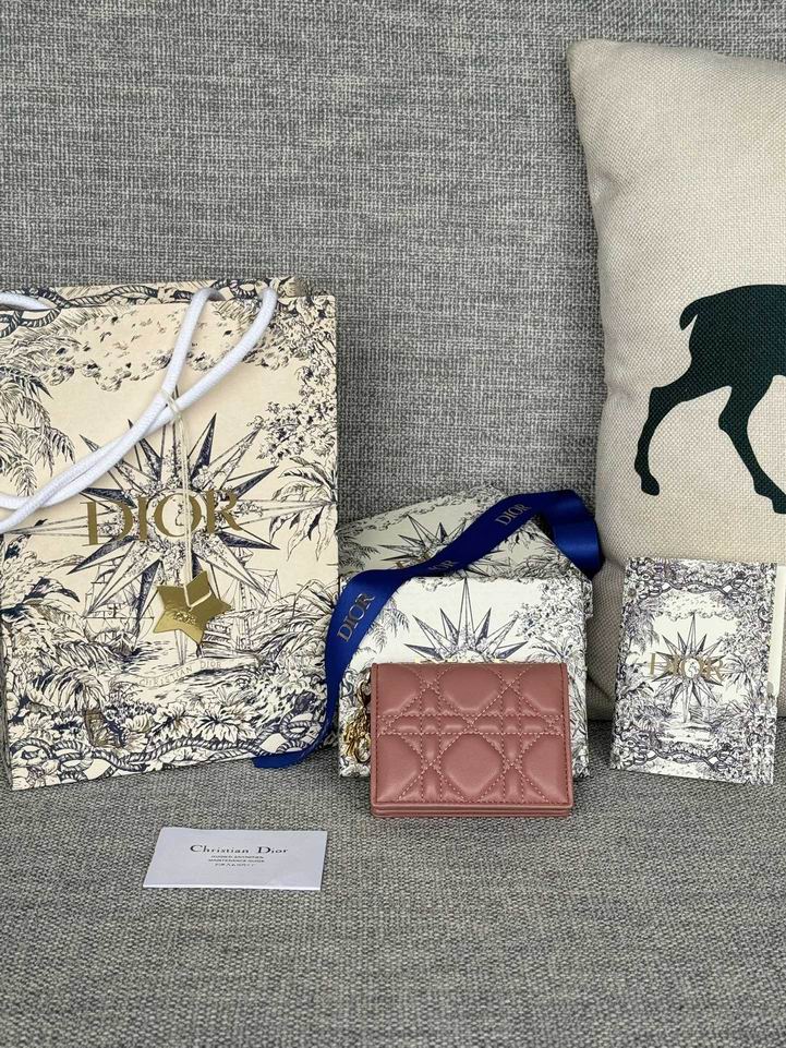 Dior S0011 10.5x7.5x2.5cm zy3