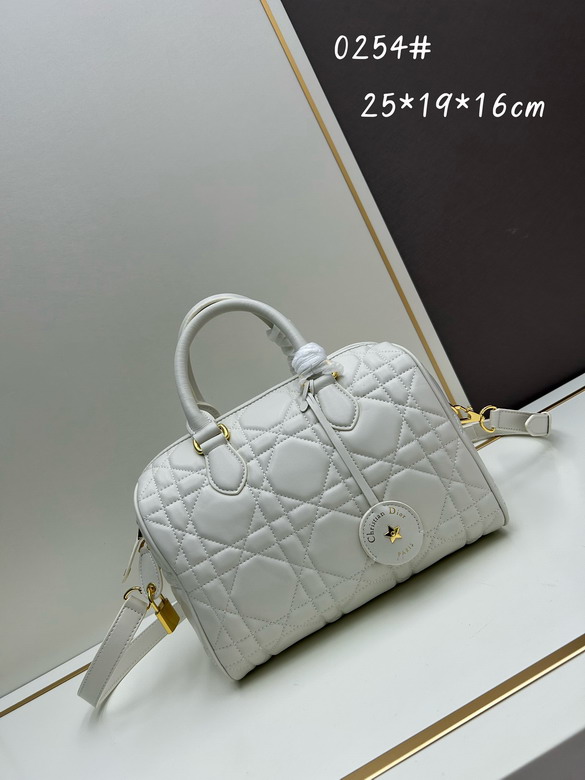 Dior Groove 0254 25x19x16cm jj2