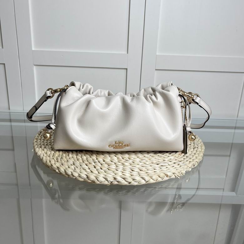 2025 COACH Cloud Pack 1:1