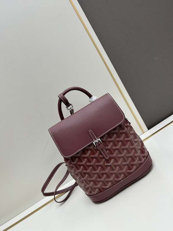 Goyard Alpin MAE020195 23x9.5x19cm jj1