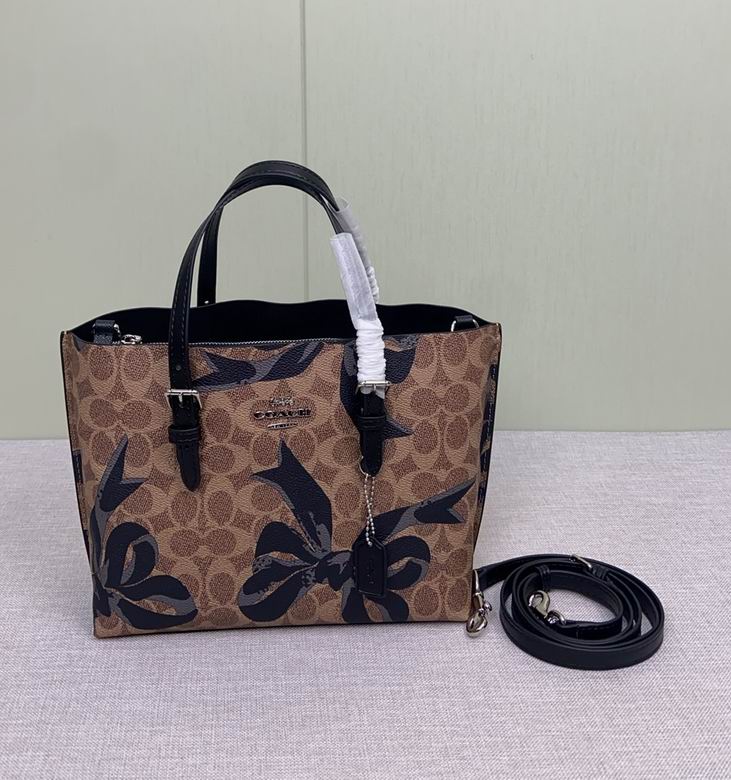 CZ767 25X19X11cm AZ 2colour