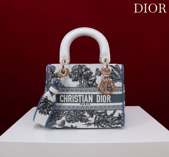 Dior M056594 24x20x11cm yz