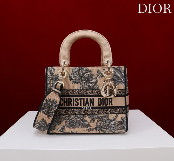 Dior M056594 24x20x11cm yz2