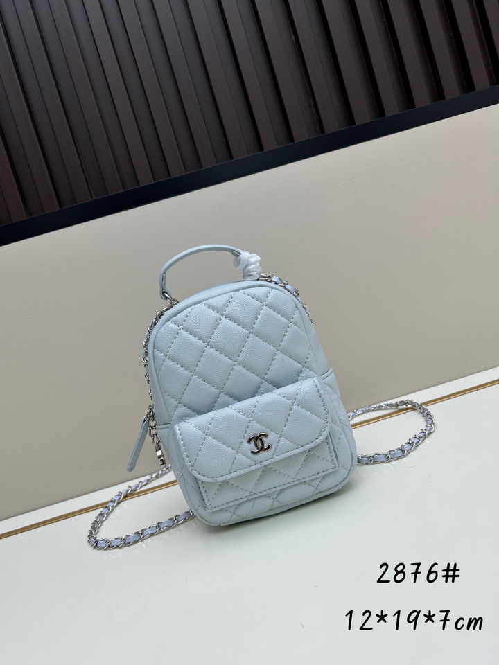 Chanel 2876 12x19x7cm jj2
