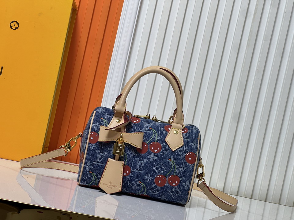 Speedy M13094 20.5x13.5x12cm ss