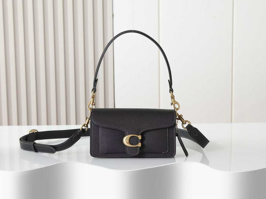 Coach 73995 20x10x6cm ss6