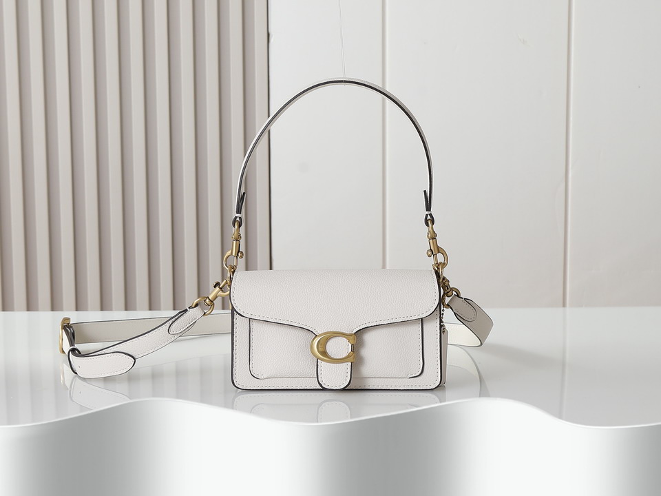 Coach 73995 20x10x6cm ss7