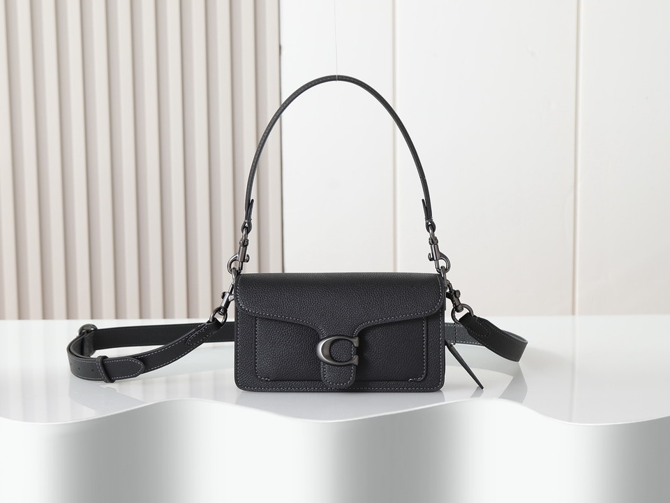 Coach 73995 20x10x6cm ss8