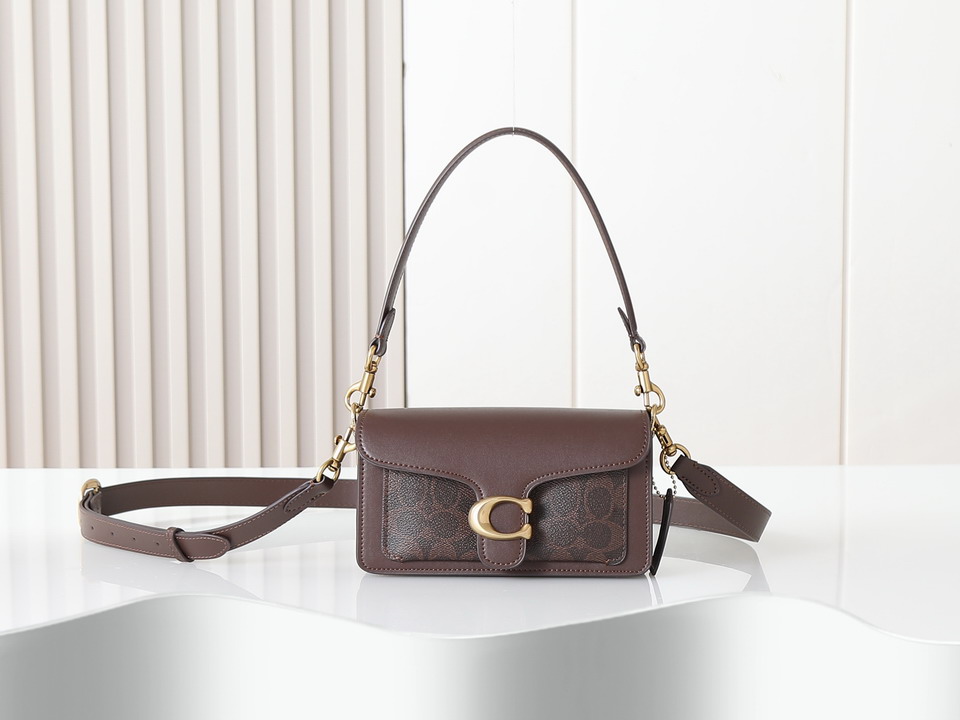 Coach 73995 20x10x6cm ss11