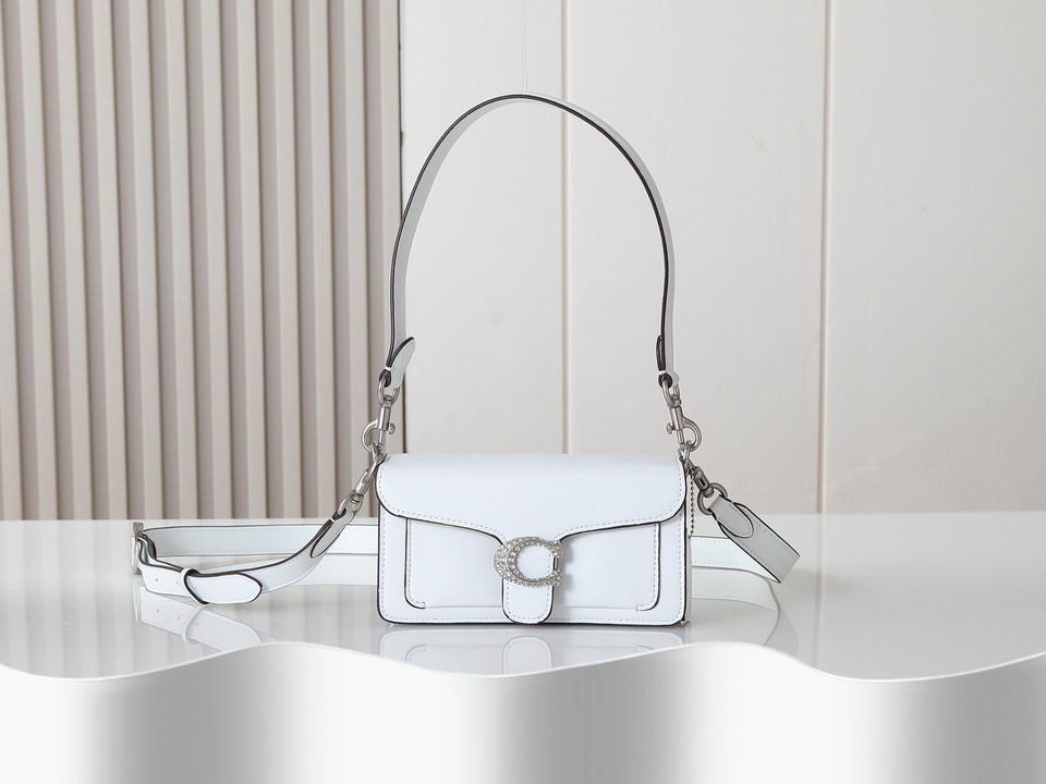 Coach 73995 20x10x6cm ss3