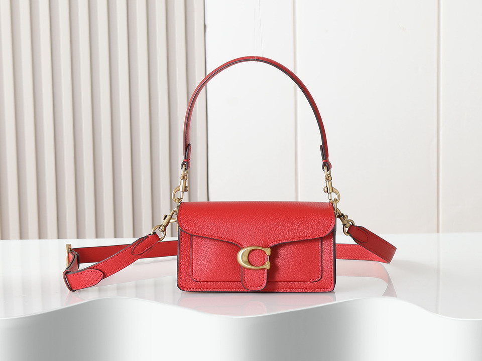 Coach 73995 20x10x6cm ss2