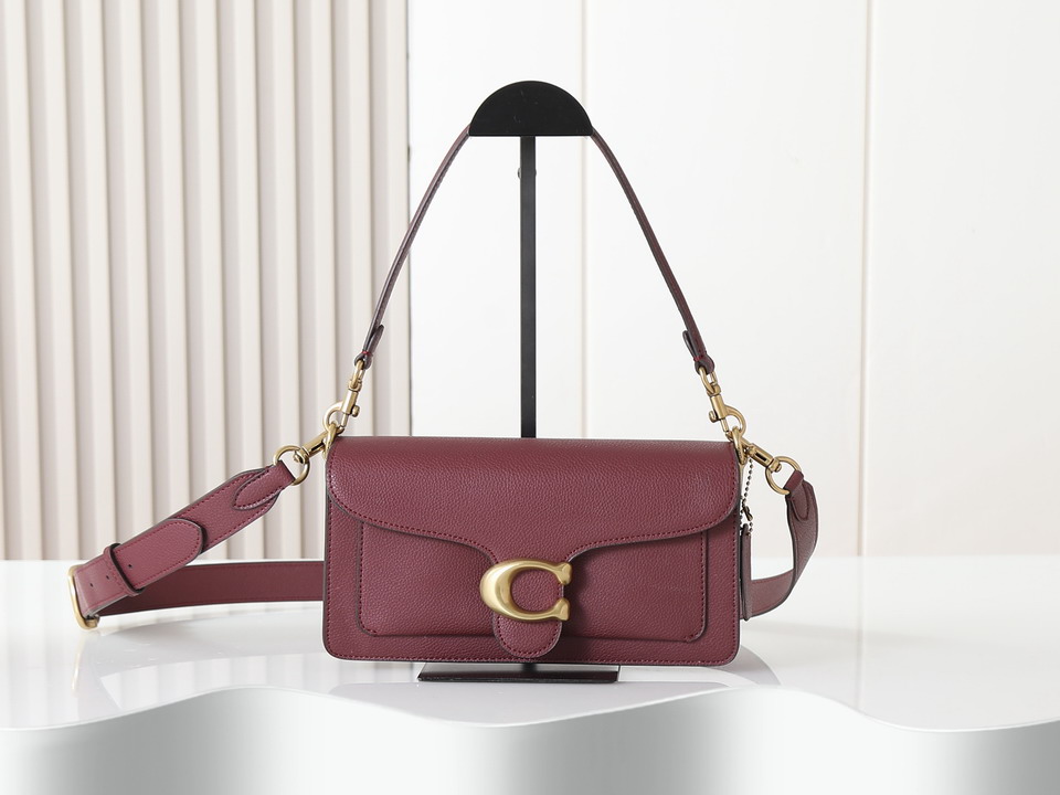 Coach 73995 26x14x7cm ss1