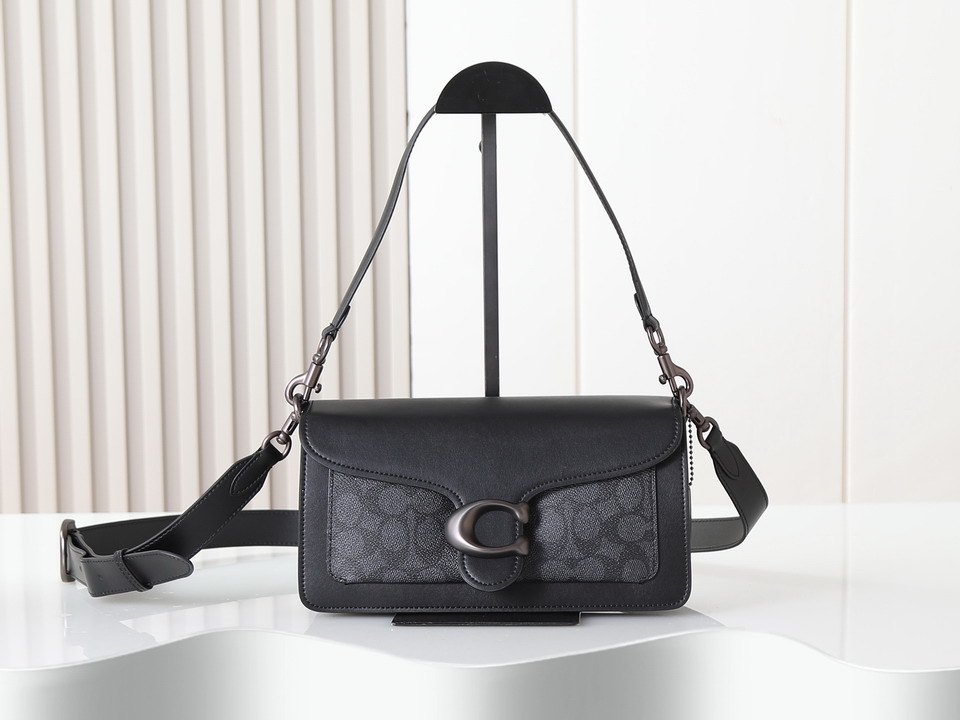 Coach 73995 26x14x7cm ss10