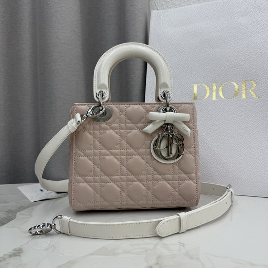 Dior M0538 20x18x8cm yz