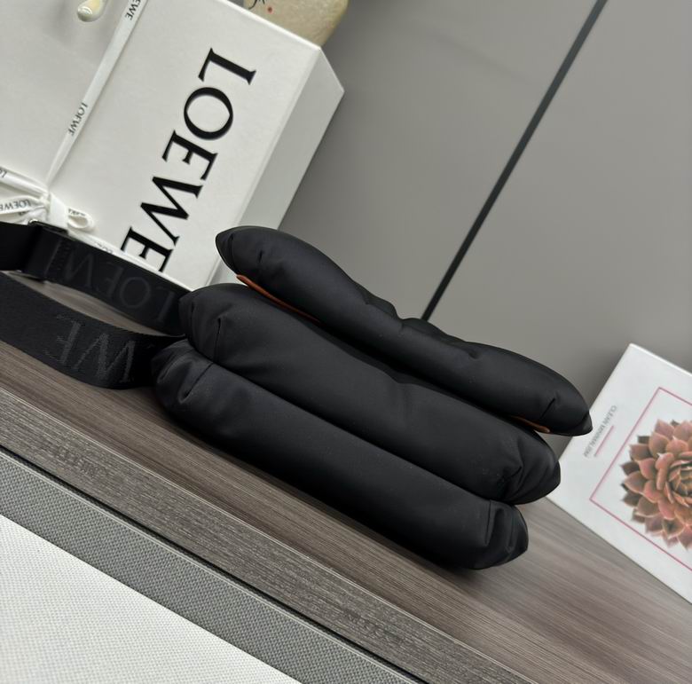 062768 23X9X17cm SS 2colour (4)