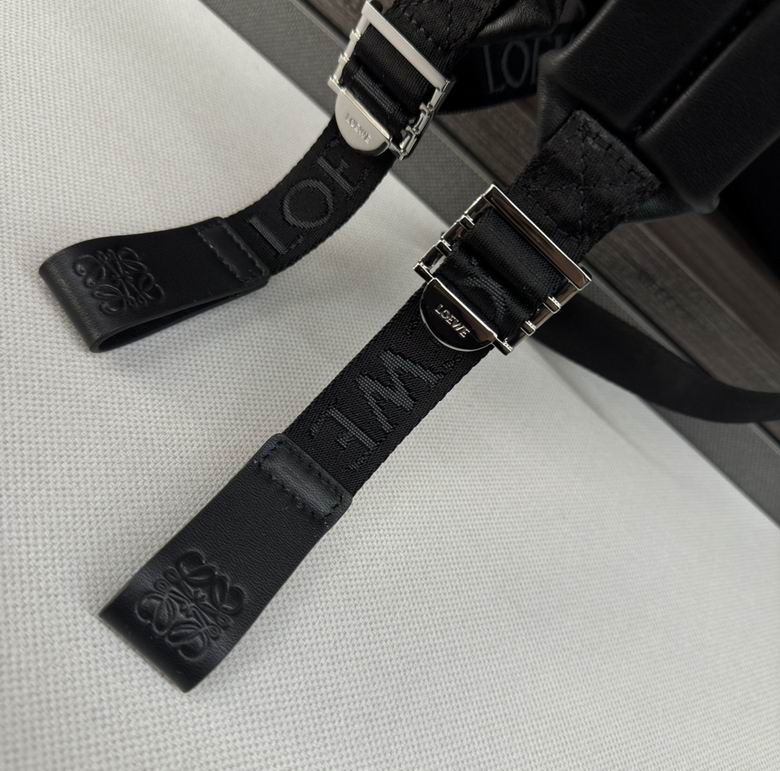 10236 50X20X40cm SS 2colour (8)