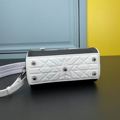 1233 25X13X16.5cm WW (12)